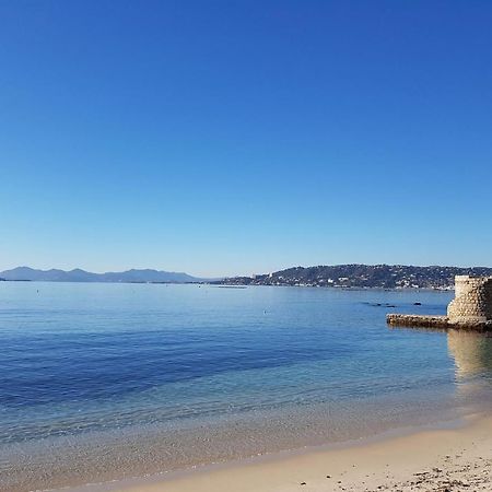 Appartement 2 Pieces, Renove, 2 Piscines+Tennis, Mer, Climatisation Antibes Eksteriør billede